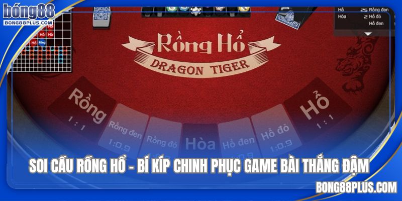 bí kíp soi cầu rồng hổ