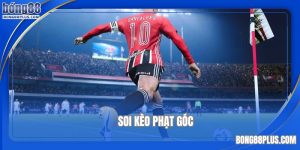mẹo soi kèo phạt góc bóng đá